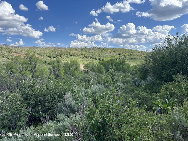889 Granite Rd, Craig, CO 81625
