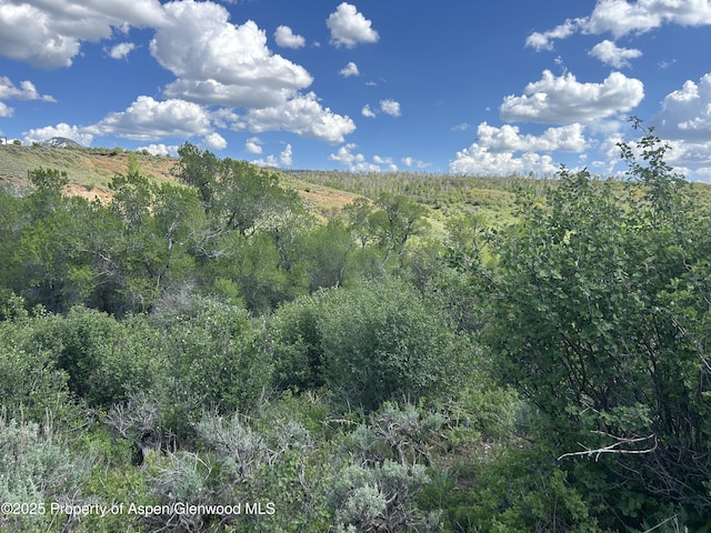889 Granite Rd, Craig, CO 81625