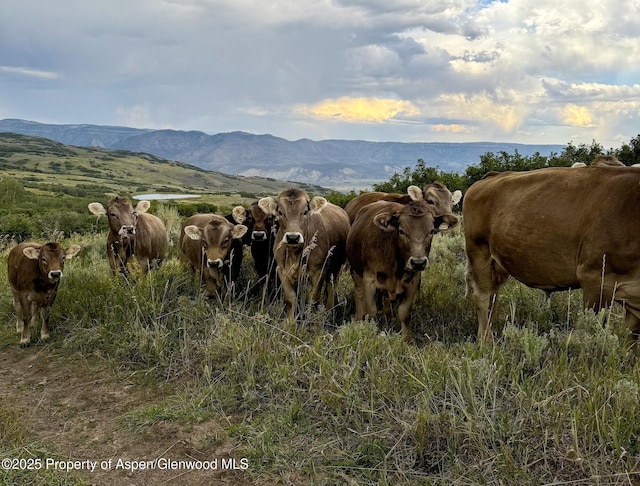 22000 P77 Rd, Cimarron, CO 81220 - photo 26