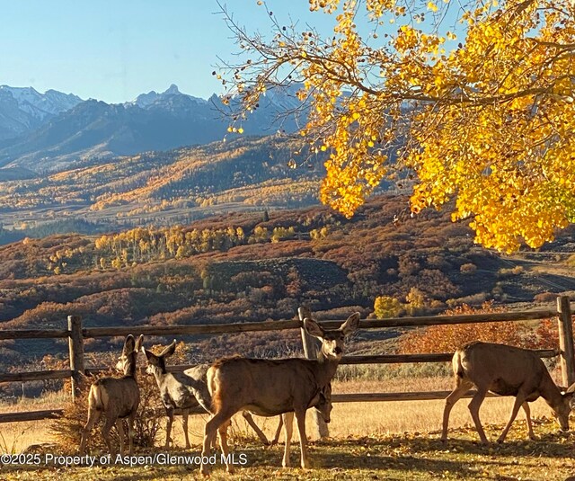 22000 P77 Rd, Cimarron, CO 81220 - photo 36