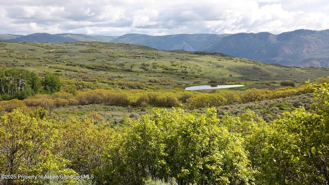 22000 P77 Rd, Cimarron, CO 81220 - photo 3
