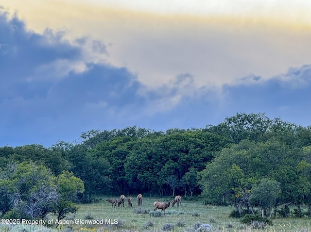 22000 P77 Rd, Cimarron, CO 81220 - photo 29