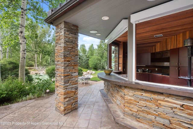 645 Willoughby Way, Aspen, CO 81611 - view of patio featuring view of wooded area