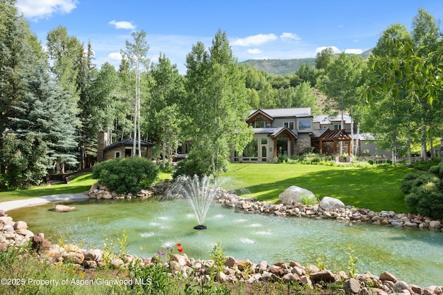 645 Willoughby Way, Aspen, CO 81611 - view of home's community with a yard