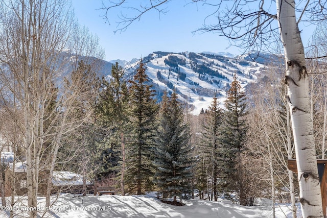 property view of mountains