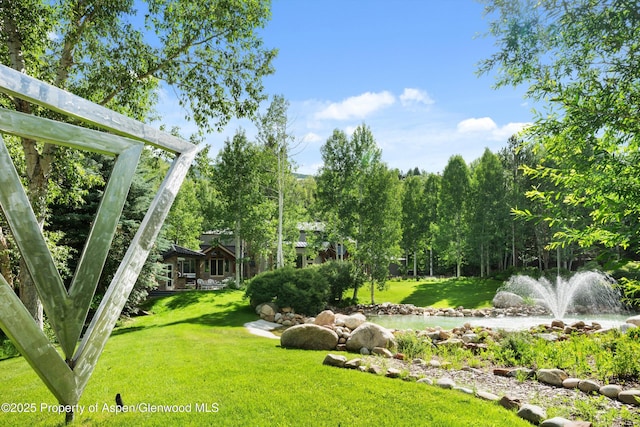 645 Willoughby Way, Aspen, CO 81611 - view of grassy yard