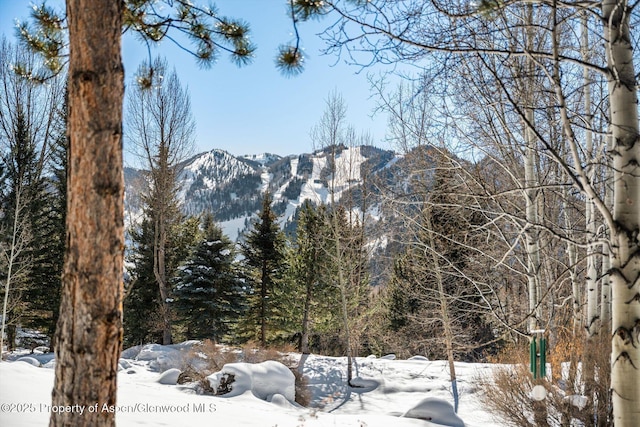 property view of mountains