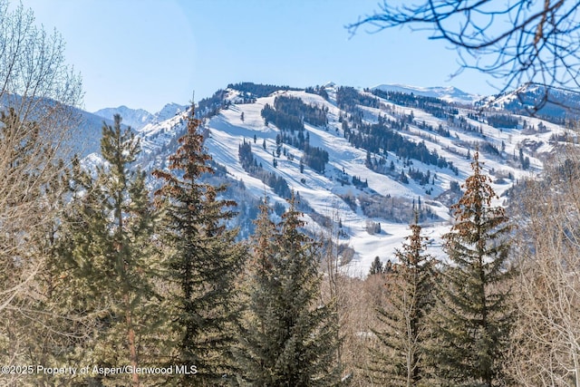 property view of mountains