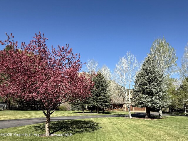 495 County Road 167, Glenwood Springs, CO 81601 - photo 4