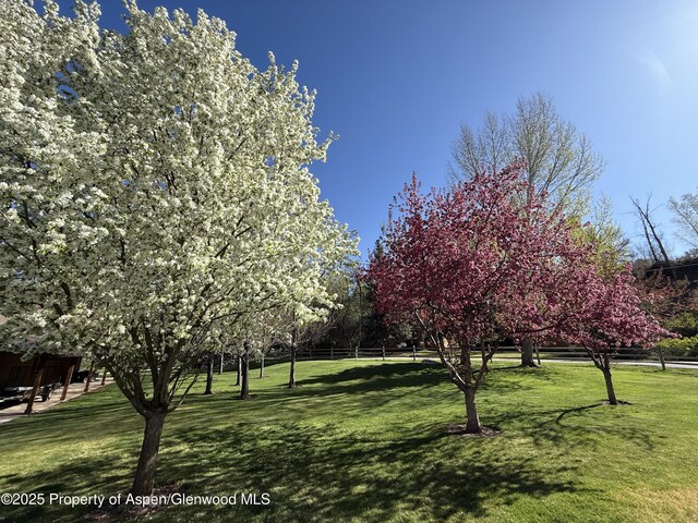 495 County Road 167, Glenwood Springs, CO 81601 - photo 10