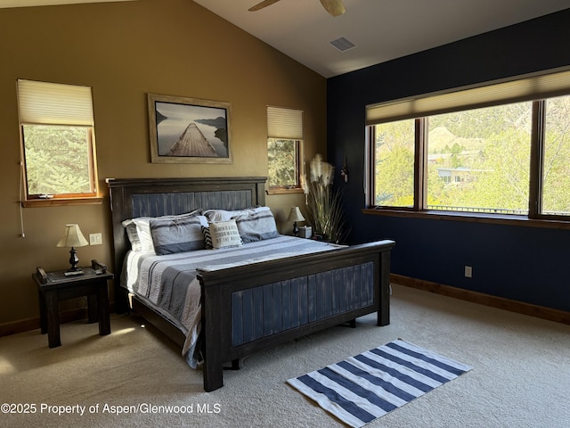 495 County Road 167, Glenwood Springs, CO 81601 - photo 18