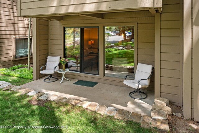 610 S W End St Unit D105, Aspen, CO 81611 - view of property entrance