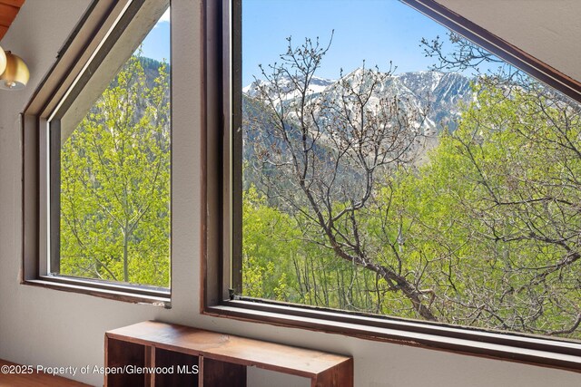 108 Prospector Trl, Marble, CO 81623 - detailed view of a mountain view