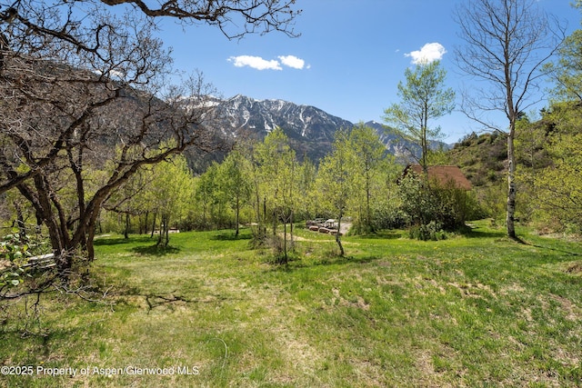 108 Prospector Trl, Marble, CO 81623 - view of mountain background