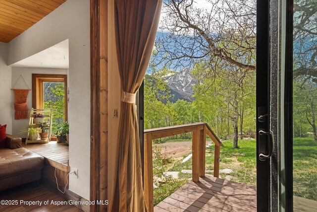 108 Prospector Trl, Marble, CO 81623 - detailed view of a mountain view