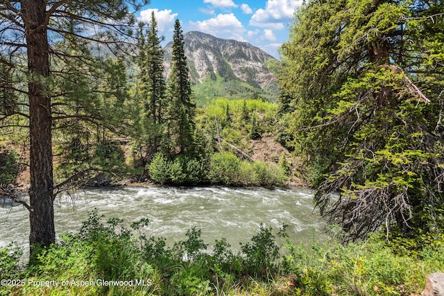 3900 County Road 3, Marble, CO 81623 - mountain view