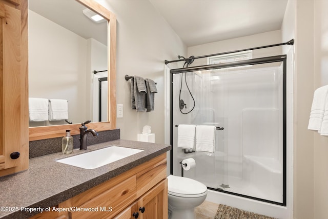 3900 County Road 3, Marble, CO 81623 - bathroom with vanity, a shower with shower door, and toilet