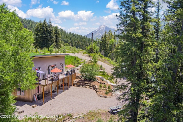 3900 County Road 3, Marble, CO 81623 - back of property with a deck with mountain view