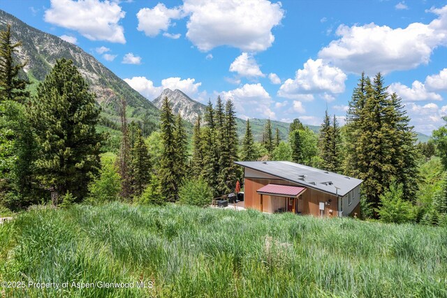 3900 County Road 3, Marble, CO 81623 - mountain view