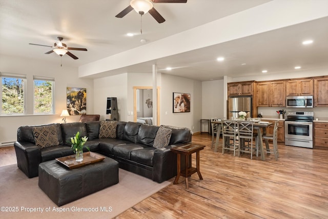 3900 County Road 3, Marble, CO 81623 - living room featuring ceiling fan and light wood-type flooring