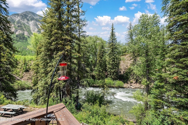 3900 County Road 3, Marble, CO 81623 - property view of water with a mountain view