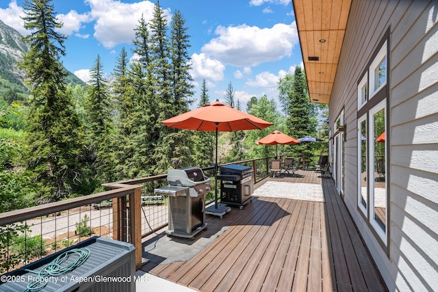 3900 County Road 3, Marble, CO 81623 - wooden deck with a grill