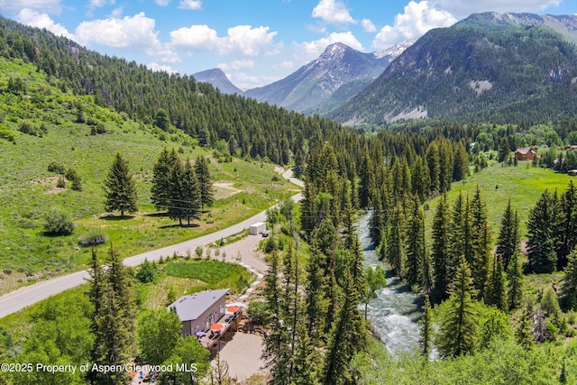3900 County Road 3, Marble, CO 81623 - exterior space