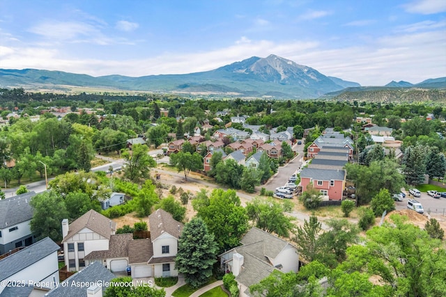 997 Painted Lady Ln, Carbondale, CO 81623 - photo 30