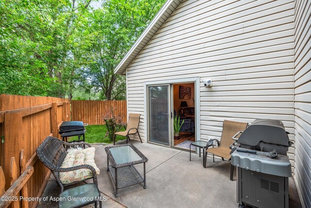 997 Painted Lady Ln, Carbondale, CO 81623 - photo 23