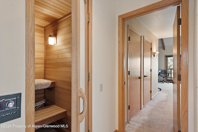 view of sauna featuring carpet flooring