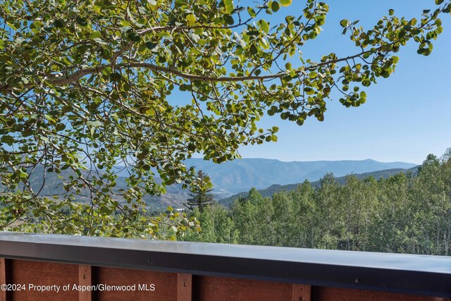 229 Faraway Rd # 34, Snowmass Village, CO 81615 - property view of mountains