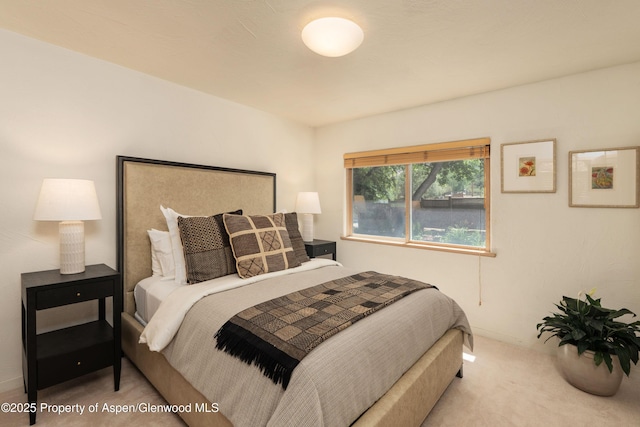 90 River Cv, Basalt, CO 81621 - view of carpeted bedroom