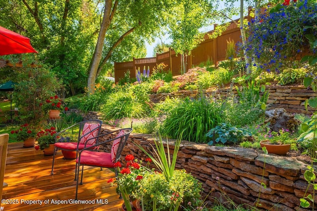 90 River Cv, Basalt, CO 81621 - view of wooden terrace