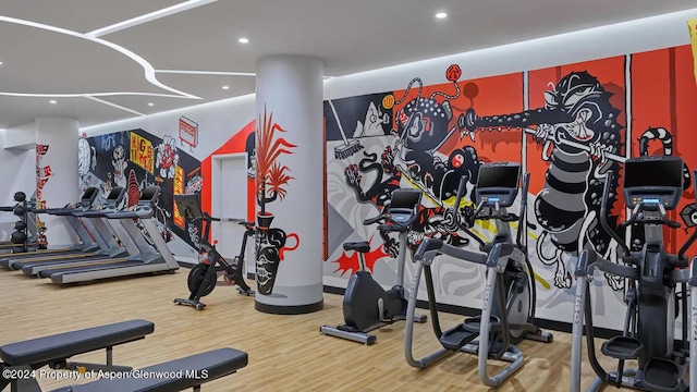 gym featuring hardwood / wood-style flooring