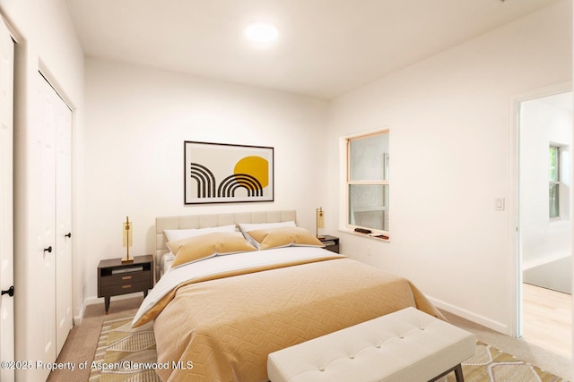 94 Castle Ridge Dr, New Castle, CO 81647 - bedroom with a closet and light carpet