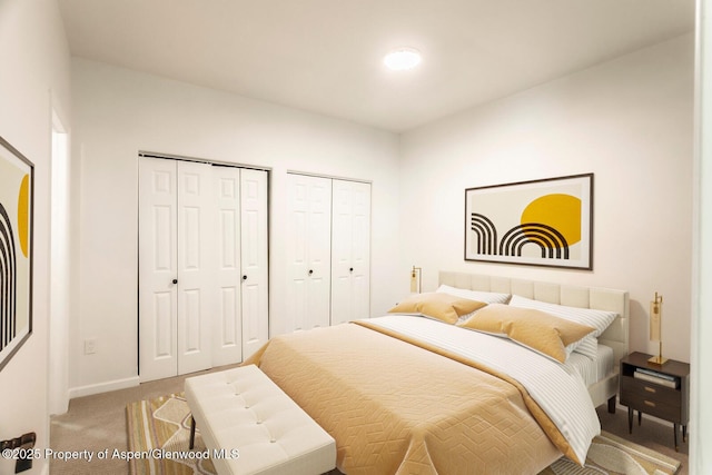 94 Castle Ridge Dr, New Castle, CO 81647 - bedroom with two closets and light carpet