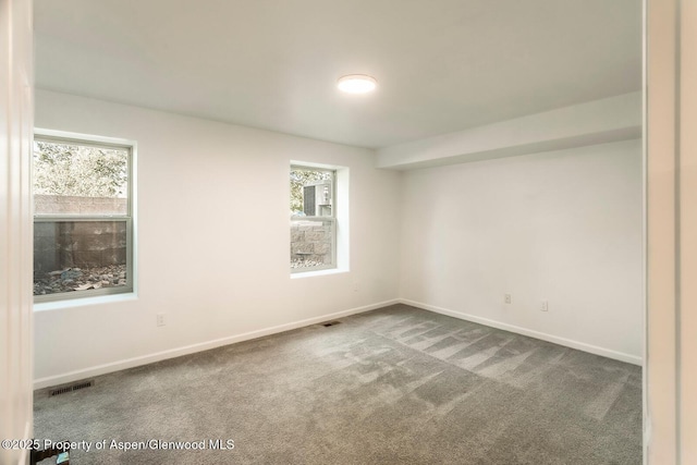 94 Castle Ridge Dr, New Castle, CO 81647 - carpeted empty room featuring baseboards