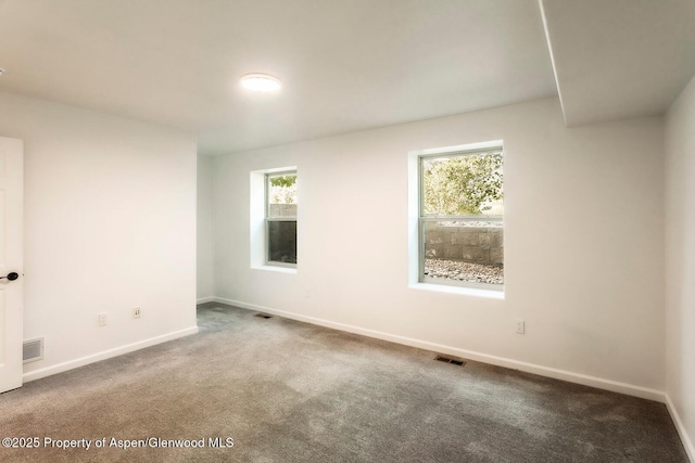 94 Castle Ridge Dr, New Castle, CO 81647 - spare room with carpet floors and baseboards