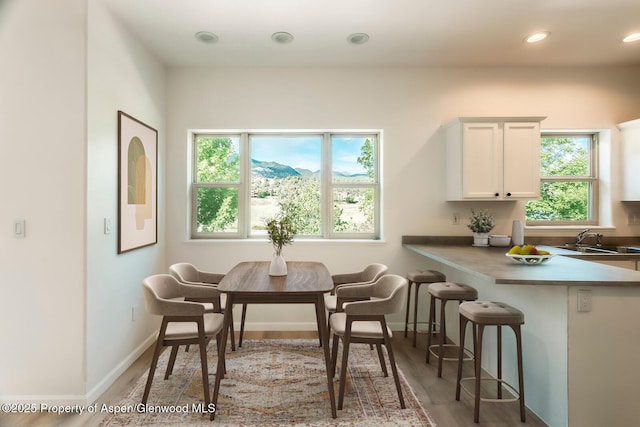 94 Castle Ridge Dr, New Castle, CO 81647 - dining area with wood finished floors and recessed lighting