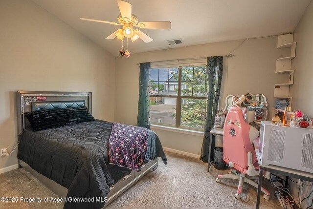 2513 Fairview Heights Ct, Rifle, CO 81650 - photo 13
