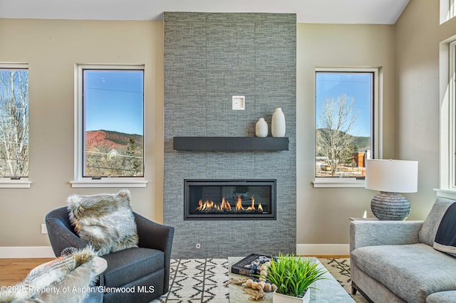 living room with a fireplace, baseboards, and wood finished floors