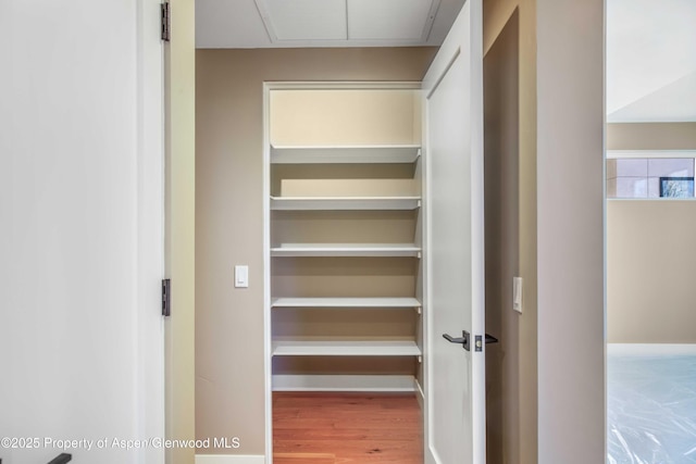 view of closet