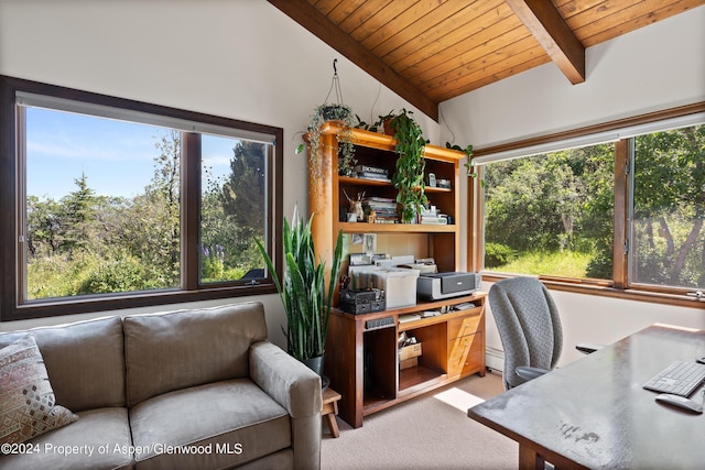 2227 Juniper Hill Rd, Aspen, CO 81611 - photo 11