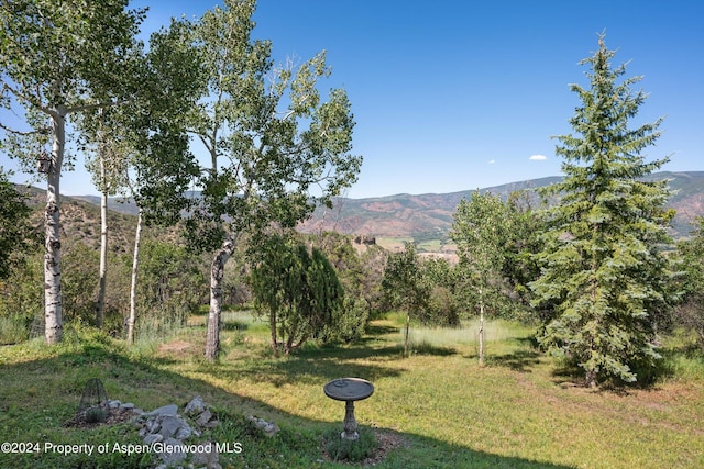 2227 Juniper Hill Rd, Aspen, CO 81611 - photo 2
