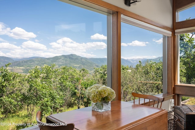 2227 Juniper Hill Rd, Aspen, CO 81611 - photo 8