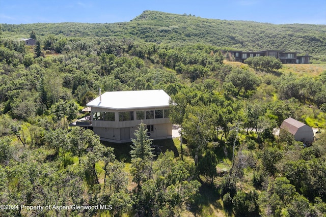 2227 Juniper Hill Rd, Aspen, CO 81611 - photo 22