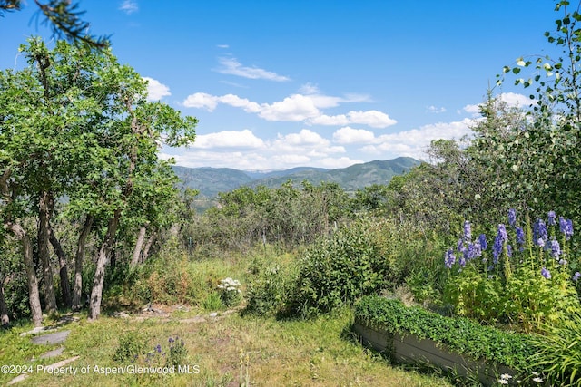 2227 Juniper Hill Rd, Aspen, CO 81611 - photo 18