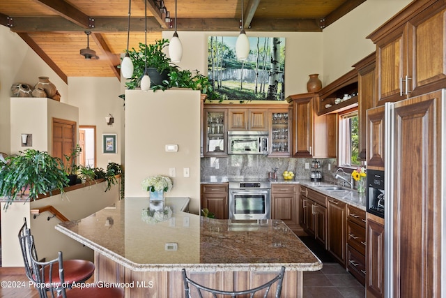 2227 Juniper Hill Rd, Aspen, CO 81611 - photo 5