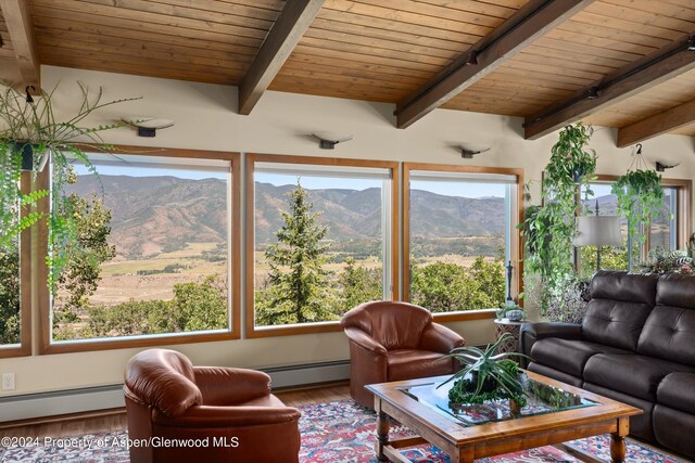 2227 Juniper Hill Rd, Aspen, CO 81611 - photo 7
