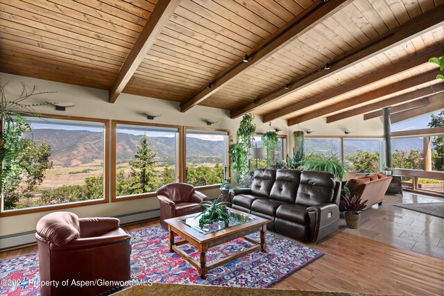 2227 Juniper Hill Rd, Aspen, CO 81611 - photo 4